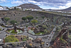 Nord di Lanzarote: L'opera di César Manrique