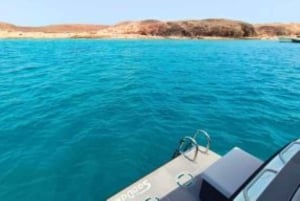 Experiencia gourmet en Papagayo