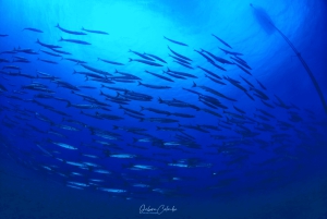 Playa Chica: Try Dive with Instructor