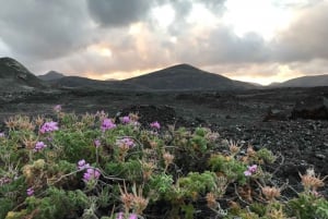 TOUR PARTICULAR PERSONALIZADO PELA ILHA DE LANZAROTE