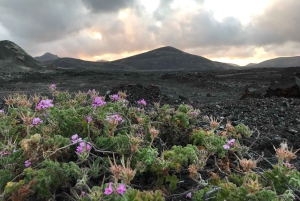 PRIVAT SKRÆDDERSYET TUR TIL ØEN LANZAROTE
