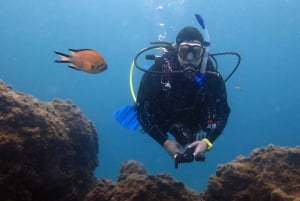 Puerto del Carmen: 2 Guided Scuba Dives (certified only)