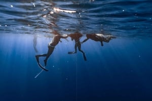 Пуэрто-дель-Кармен: курс AIDA Freedive уровня 2