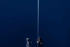 Пуэрто-дель-Кармен: курс AIDA Freedive уровня 2