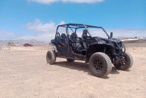 Puerto del Carmen: Buggy Adventure