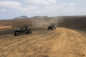 Puerto del Carmen: Buggy Adventure