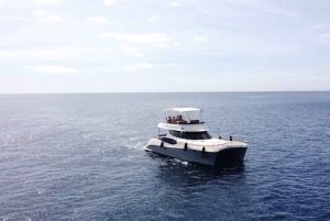 Puerto del Carmen: viaggio in catamarano con sport acquatici