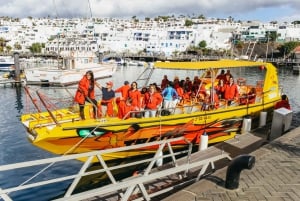 Puerto del Carmen: Speedbådstur med delfinobservation og svømmetur