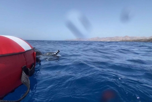 Puerto del Carmen: Vapaasukelluksen kokeilukerros uima-altaassa tai avovedessä