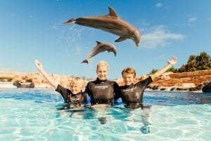 Puerto del Carmen: Carmen Carmen: Rancho Texas Lanzarote Park pääsylippu