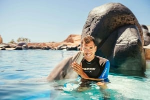 Puerto del Carmen: Carmen Carmen: Rancho Texas Lanzarote Park pääsylippu