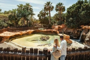 Puerto del Carmen: Carmen Carmen: Rancho Texas Lanzarote Park pääsylippu