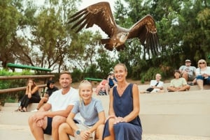 Puerto del Carmen: Carmen Carmen: Rancho Texas Lanzarote Park pääsylippu