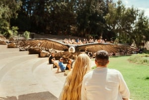 Puerto del Carmen: Carmen Carmen: Rancho Texas Lanzarote Park pääsylippu
