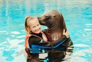 Puerto del Carmen: Carmen Carmen: Rancho Texas Lanzarote Park pääsylippu