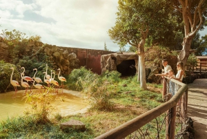 Puerto del Carmen: Carmen Carmen: Rancho Texas Lanzarote Park pääsylippu