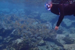 Puerto del Carmen: viagem de mergulho com instrutor de mergulho