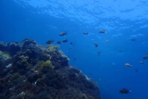 Puerto del Carmen: viagem de mergulho com instrutor de mergulho