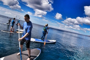 Puerto del Carmen: aula de Stand Up Paddleboarding