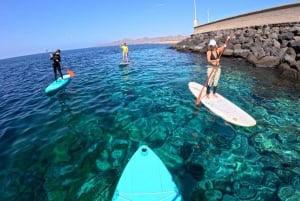 Puerto del Carmen: Stand Up Paddleboarding Class
