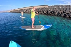 Puerto del Carmen: Stand Up Paddleboarding Class