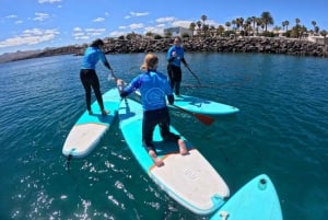 Puerto del Carmen: Stand Up Paddleboarding Class