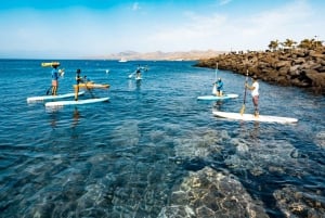 Puerto del Carmen: Stand Up Paddleboarding klasse
