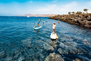Puerto del Carmen: Stand Up Paddleboarding klasse