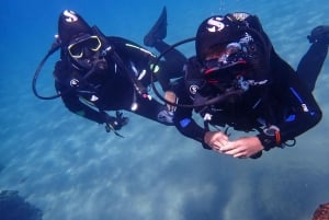 Puerto del Carmen: Try Scuba Diving from the beach