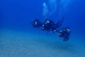 Puerto del Carmen: Try Scuba Diving from the beach