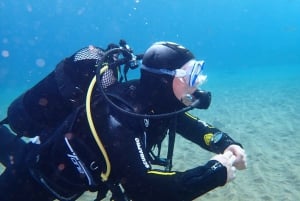 Puerto del Carmen: Try Scuba Diving from the beach