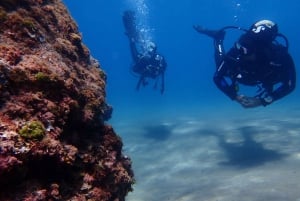 Puerto del Carmen: Try Scuba Diving from the beach