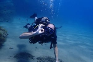 Puerto del Carmen: Try Scuba Diving from the beach