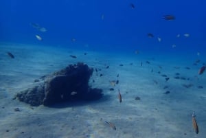 Puerto del Carmen: Try Scuba Diving from the beach