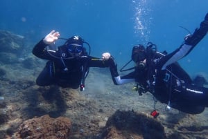 Puerto del Carmen: Try Scuba Diving from the beach