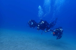 Puerto del Carmen: Prøv dykking fra stranden