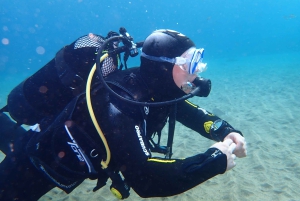 Puerto del Carmen: Prøv dykking fra stranden