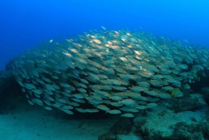 Puerto del Carmen: Prøv dykking fra stranden