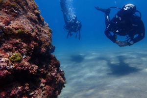 Puerto del Carmen: Prøv dykking fra stranden