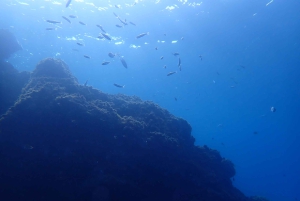 Puerto del Carmen: Prøv dykking fra stranden