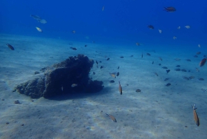 Puerto del Carmen: Prøv dykking fra stranden
