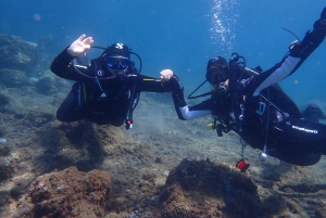 Puerto del Carmen: Prøv dykking fra stranden