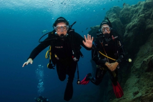 Puerto del Carmen: Prova le immersioni subacquee con 1 immersione