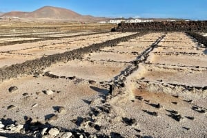 Route guided on the volcanic coast of Lanzarote.