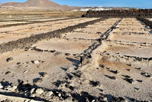 Itinéraire guidé sur la côte volcanique de Lanzarote.