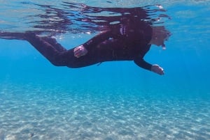 Excursion avec masque et tuba Pourquoi pas ?