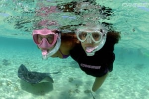 Excursion avec masque et tuba Pourquoi pas ?