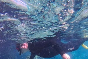 Excursion avec masque et tuba Pourquoi pas ?