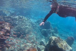 Excursion avec masque et tuba Pourquoi pas ?