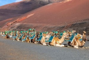 South Tour: Timanfaya National Park